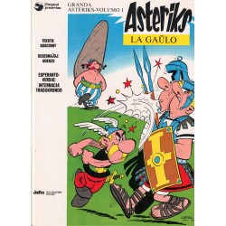 Asteriks, la gaŭlo