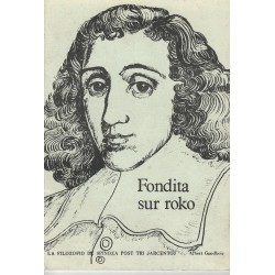 Fondita sur roko (pri Spinoza)